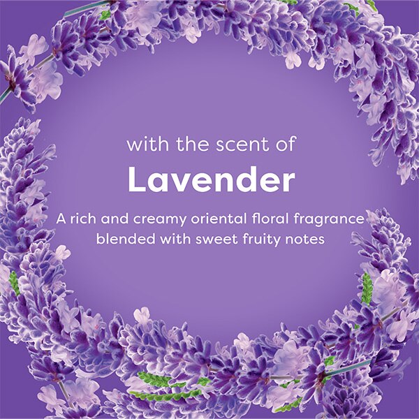 Lavender flowers framing text describing rich, creamy oriental lavender fragrance 