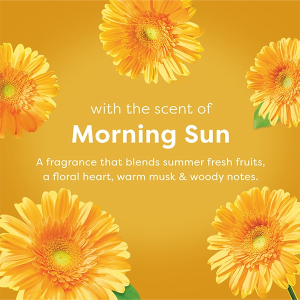 LGraphic with yellow sunflowers on a sunny background, describing Suavitel Morning Sun scentsummer fresh fruits, floral notes, warm musk, and woody undertones. Graphic with yellow sunflowers on a sunny background, describing Suavitel Morning Sun scentsummer fresh fruits, floral notes, warm musk, and woody undertones.