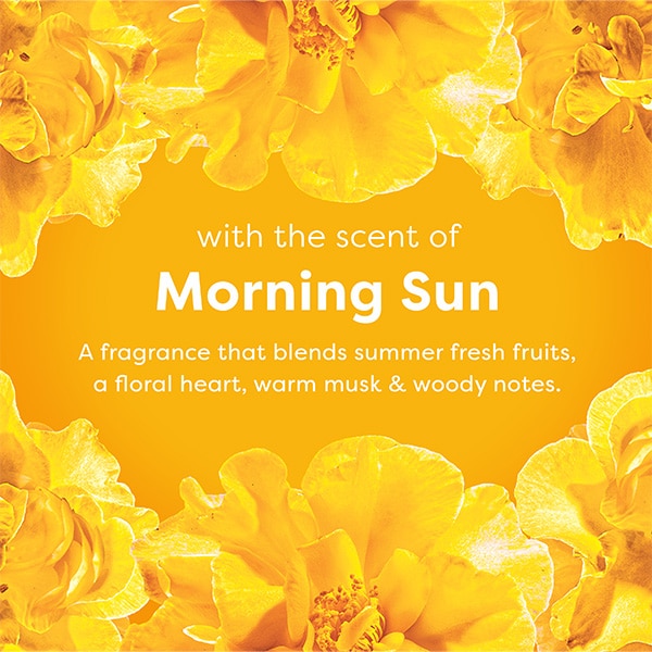Morning Sun framing text describing rich